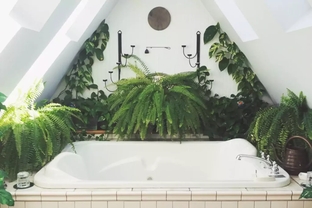 Ett badkar fyllt med växter efter renovering uppsala.