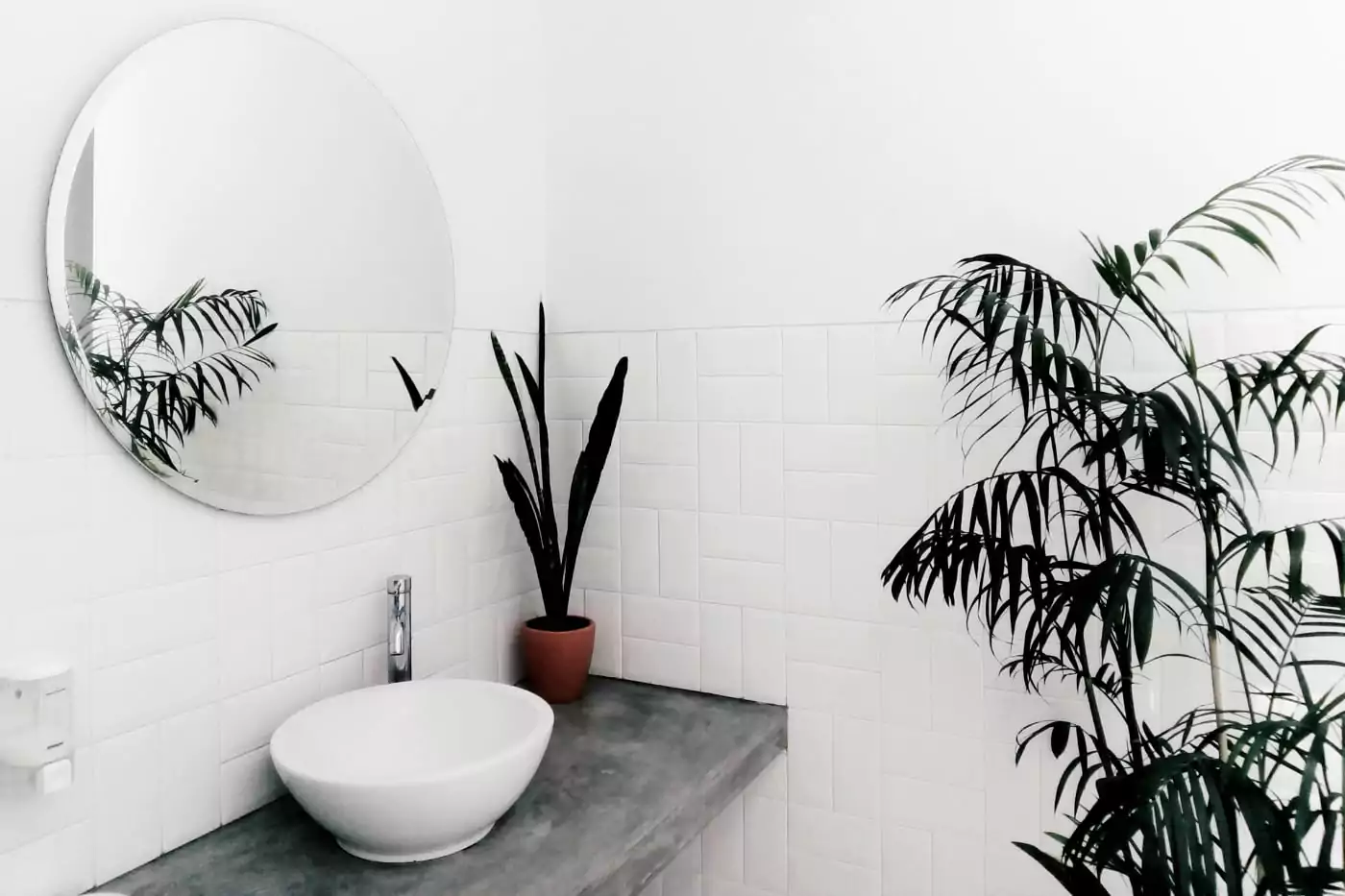 Ett spegel på väggen och en växt bredvid